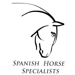 Spanish Horses for Sale from Spanish Horse Specialists