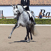 Future International Grand Prix Star
